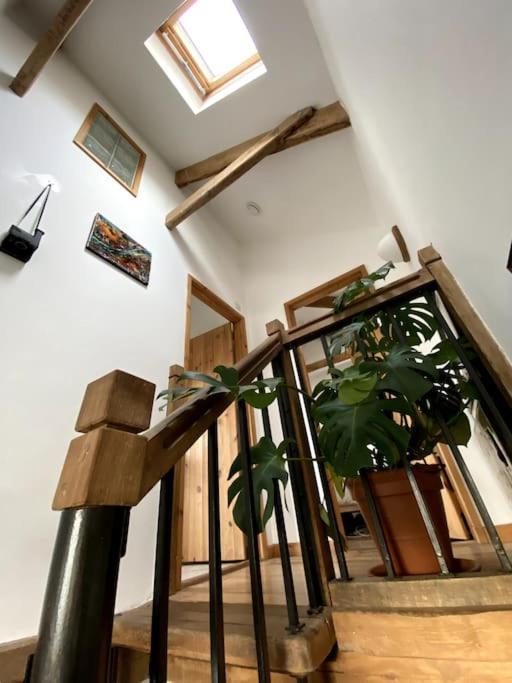 9A Viaduct Cottage - The Cosiest Bolthole In The Sw! Χέιλ Εξωτερικό φωτογραφία