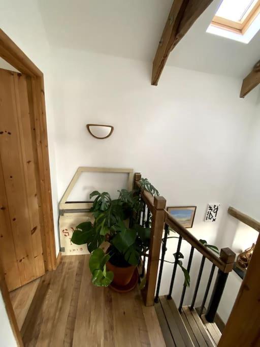 9A Viaduct Cottage - The Cosiest Bolthole In The Sw! Χέιλ Εξωτερικό φωτογραφία